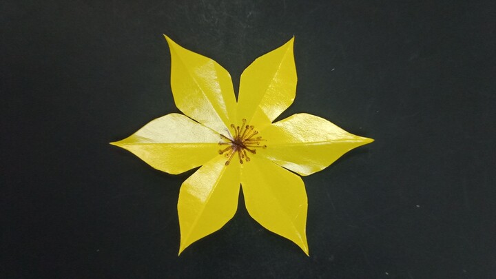 Fold, Cut, & Create: The Simple Origami Flower Art & Craft Project