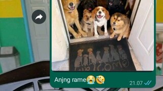 ehh anj🤣