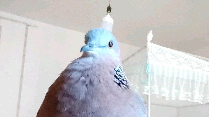 ผู้นำกล่าวสุนทรพจน์สำคัญ