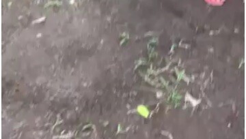 Irish dome sweater CapGamefowls 🏆🏆🏆❤️❤️