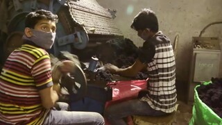 Coton, la face sombre de l'or blanc