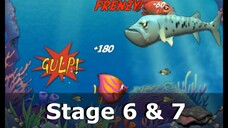 Feeding Frenzy - Stage 6&7