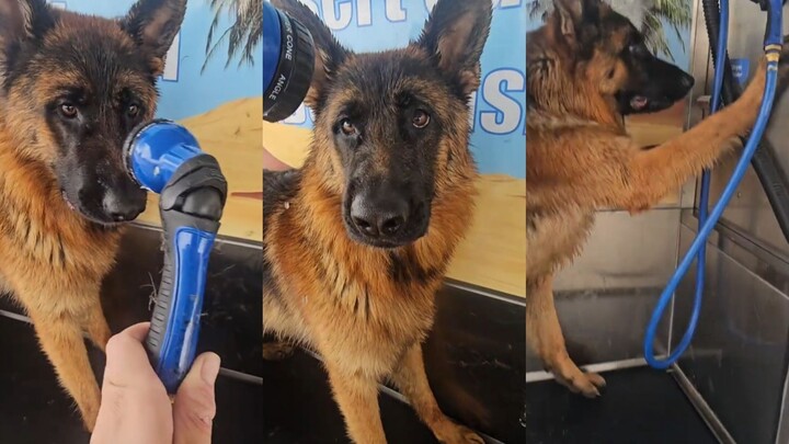 Orang Jerman suka main air 🛀