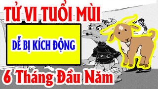 Xem Tử Vi Tuổi Mùi 6 Tháng Đầu Năm 2021 Đầy Đủ Chi Tiết Nhất, Đễ Bị Kích Động, Làm Liều