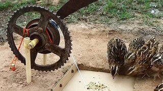 这都能抓到？【手工陷阱DIY】