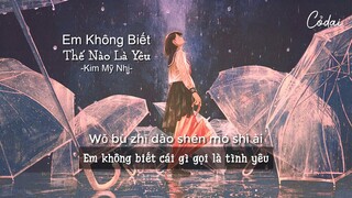 [Vietsub + Pinyin] Em Không Biết Thế Nào Là Yêu - Kim Mỹ Nhi / 我不知道什么是爱