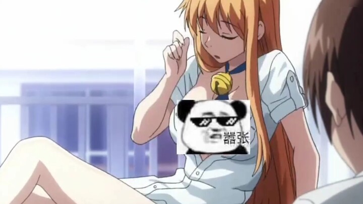 一觉醒来被窝里钻出一只性感喵星人