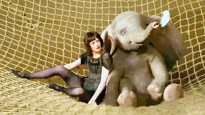 Chú voi con vừa sinh ra đã có đôi tai cực lớn nên bị mọi người chê bai, nào ngờ nó lại biết bay!