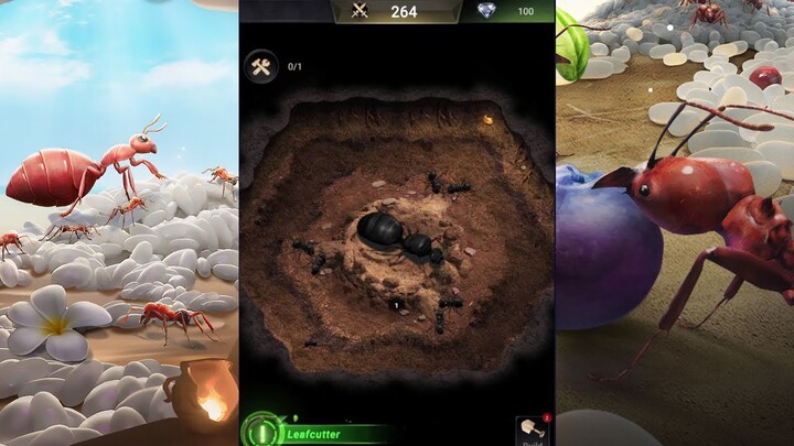 Vương Quốc Kiến Gamota - Game chiến thuật lấy đề tài thế giới loại kiến vô cùng thú vị