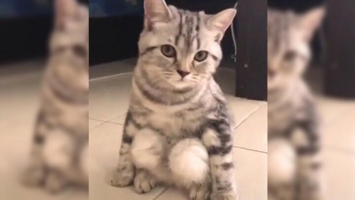 ลูกบอลดี