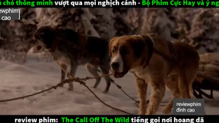 chú chó thông minh p2 #reviewphimdinhcao