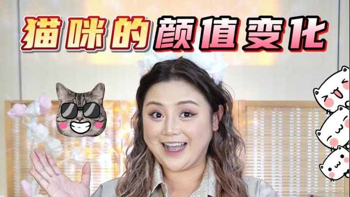 Điểm danh các giống mèo cảnh phổ biến! Hình ảnh khi còn nhỏ vs lúc trưởng thành