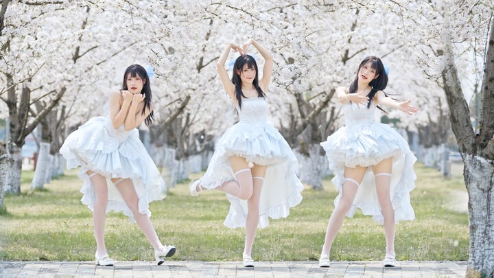 [Instant Noodles] The Cutest Thing About Me ❀ Cherry Blossom Rain, Yay!