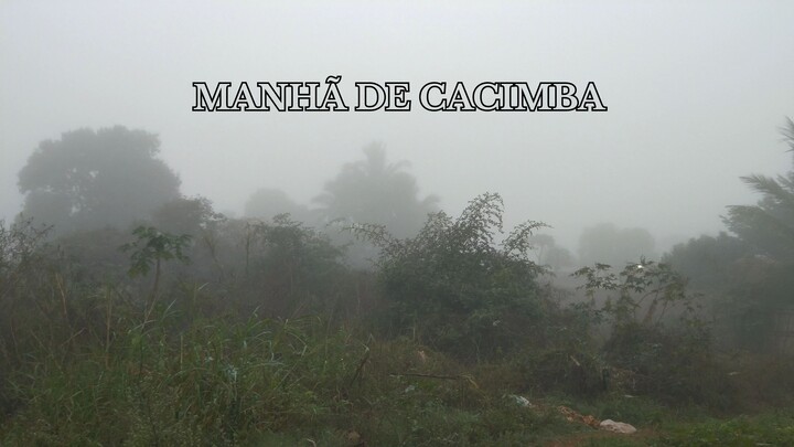 NUMA MANHÃ DE CACIMBA, A NOSSA TERRA ACORDA DEVAGAR