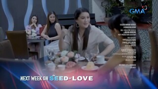 The Seed Of Love: (Week 13)