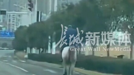 A man on a white horse is racing down the street, with traffic police chasing after him.