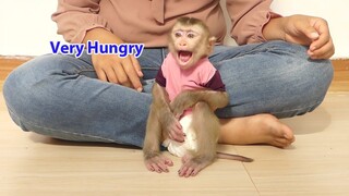 Little Monkey Maki Cry Angry Mom Not Give Milk To Him | Maki Crying Loudly