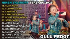 niken salindry
