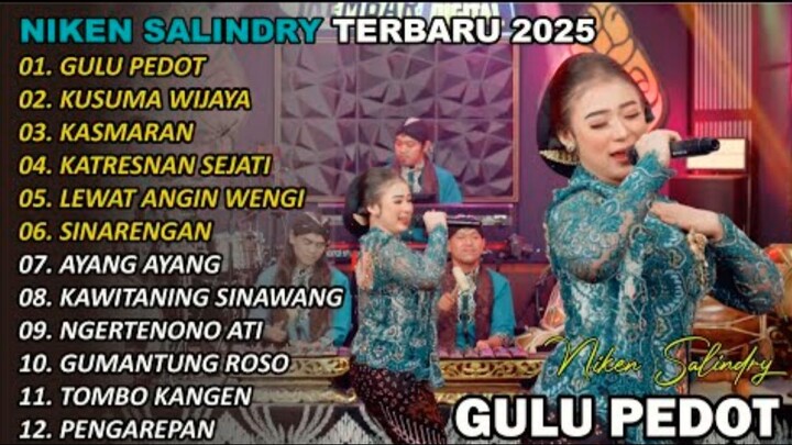 niken salindry