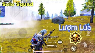 PUBG Mobile | Solo Squad - Trên Tay Mk14 | NhâmHNTV Xử Lý Bo Cuối Đầy Tự Tin - Lượm Lúa Liền