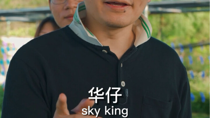 Thành sao trên mạng