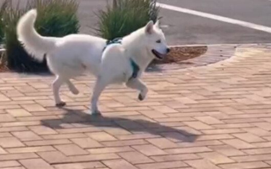 นี่ใช่เธอที่กำลังจะไปเจอแฟนหรือเปล่า!