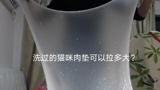 水洗蛋蛋家猫咪肉垫 洗完的拉升性有多好？暴露sd属性