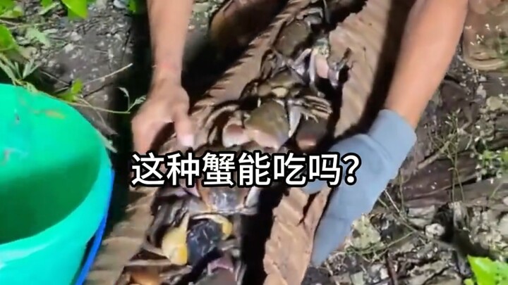Is this kind of crab edible?