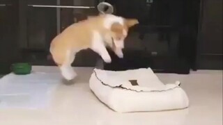 มันมีความสุขมากเลย!