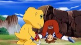 [Digimon] Koleksi lima generasi Digimon nirwana, tidak ada yang tidak bisa dipecahkan oleh monster b