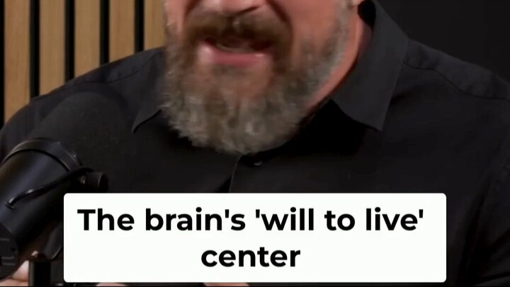 The Brain's 'Will to Live' Center Explained 🧠 pt02