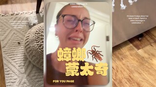 庆祝和蟑螂大作战的胜利✌️