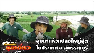 เรื่องเด็ดลุยเดี่ยว | ลุยนาแห้วแปลงใหญ่สุดในประเทศ จ.สุพรรณบุรี | ข่าวเที่ยงอมรินทร์ | 22 ก.ย. 67