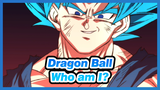 Dragon Ball|Who am I? Kid, have you heard of the Dragonball?
