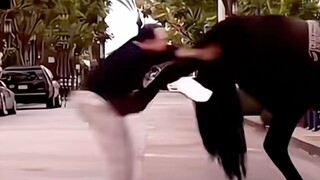 告诉你们一个秘密……