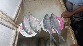 mawa