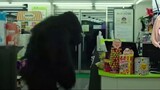 Go to the supermarket with Chidori and watch the quiet dance