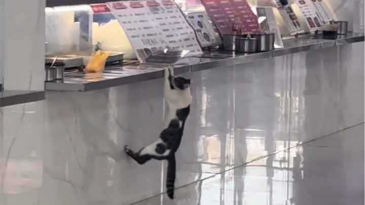 Dì ơi, cơm của cháu đã xong chưa?