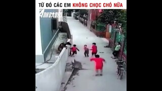 Từ Đó Các Em Không Chọc Chó Nữa