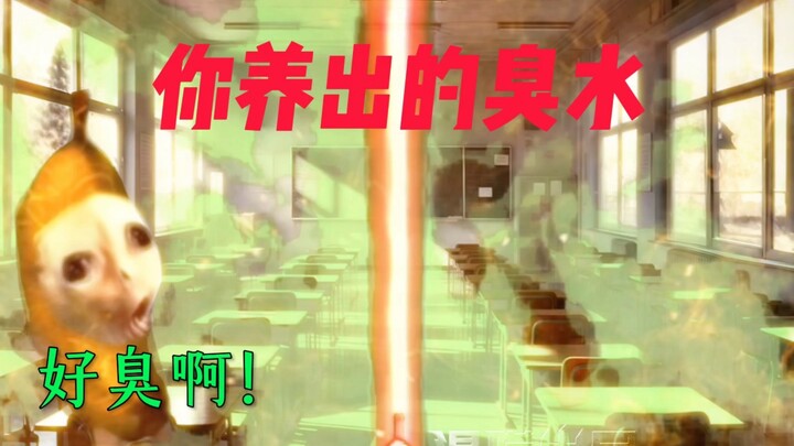 你养出的臭水：