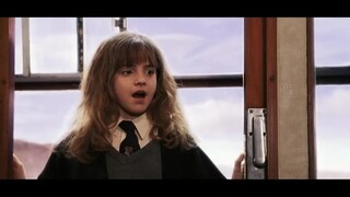 "No wizard has ever invented a magic that Hermione can't learn"