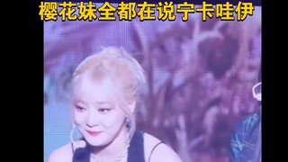 【نينغ يي تشو】كawaii! فتاة أزهار الكرز المحبوبة تذوب من الظرافة