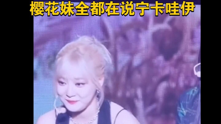 【หนิงอี้จั๋ว】น่ารัก! ตกหลุมรักสาวดอกซากุระไปแล้ว