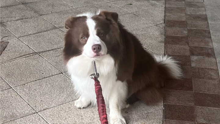 A loving father and a filial son? Not a chance!