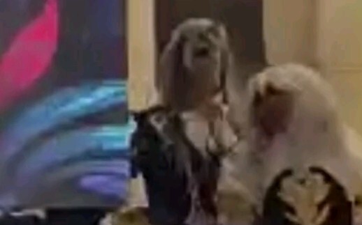 Fukaros Toothless and Nalevit Toothless dance together