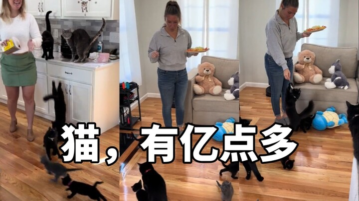 "Honey, do we have a cat that's over a billion?"