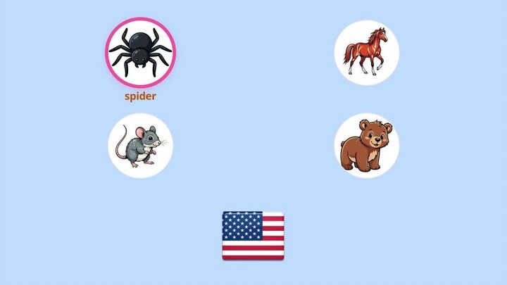 4 English Words: spider, horse, mouse, bear - Quiz for Beginners