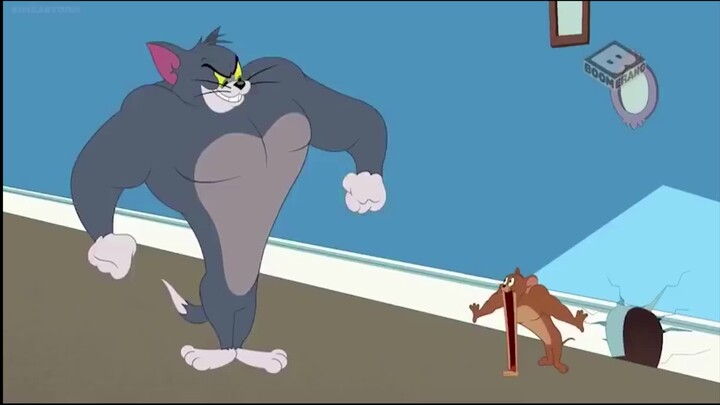 [Tẩy não] Tom & Jerry: Tom và Jerry quyết đấu sau khi tập gym