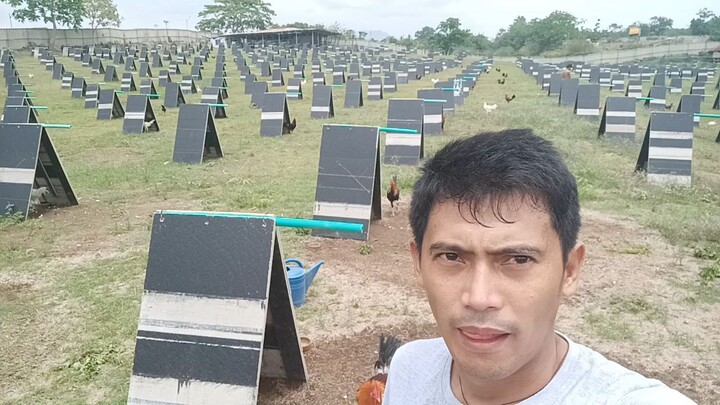 visit at James 777 gamefarm