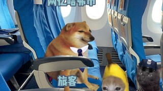 三角洲看看你带的兵！！！